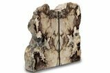 Tall, Petrified Wood Bookends - McDermitt, Oregon #297316-2